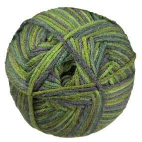 Berroco Comfort Yarn - 9839 Maine Woods